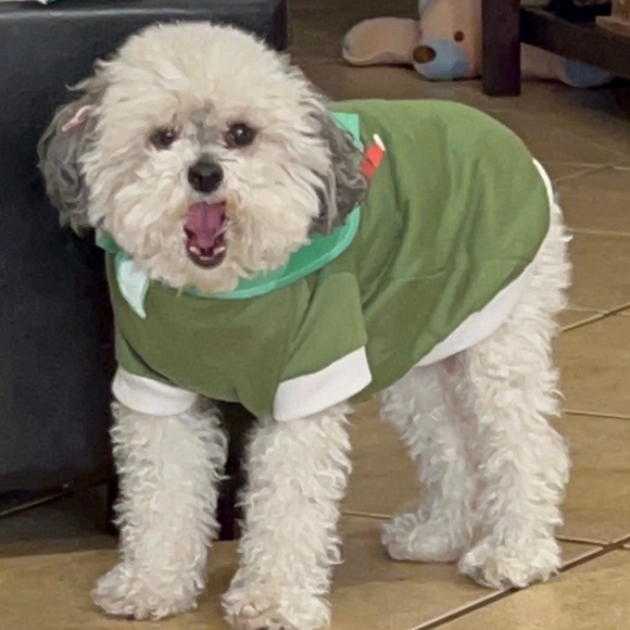 Meet your Posher, Oliviaodc - Picture 3 of 10